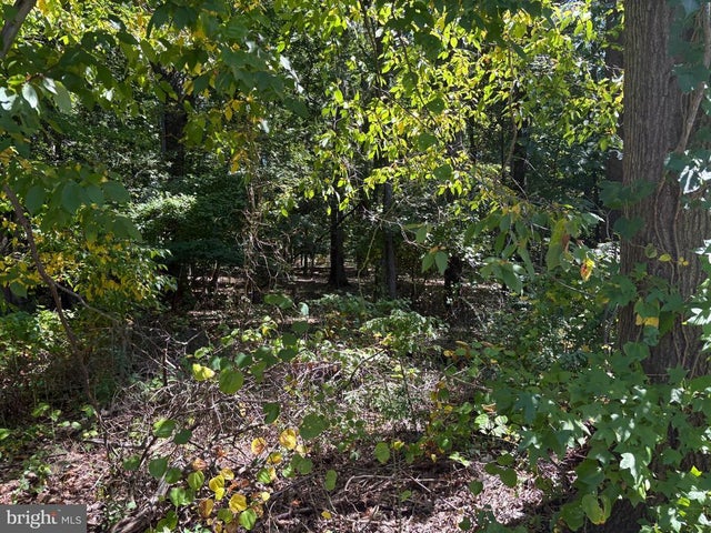 3123 Arundel On The Bay Rd, Annapolis