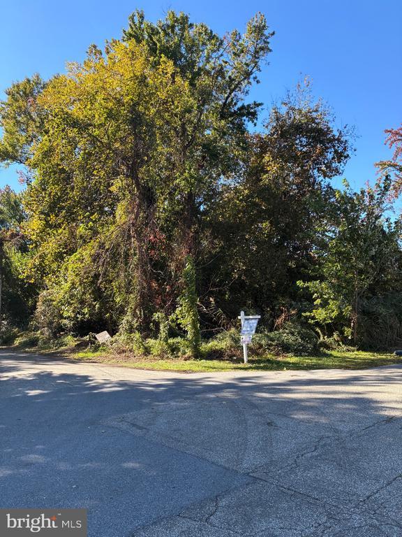 Bush Ave, Pasadena