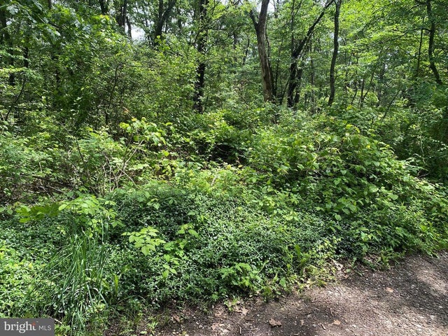 Oakwood St, Cumberland