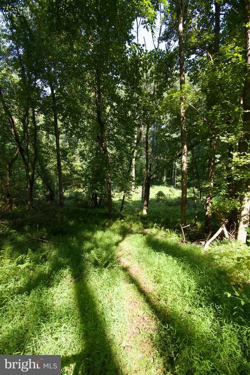 16746 Wesley Chapel Rd, Monkton