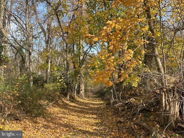 Cuba Rd, Cockeysville