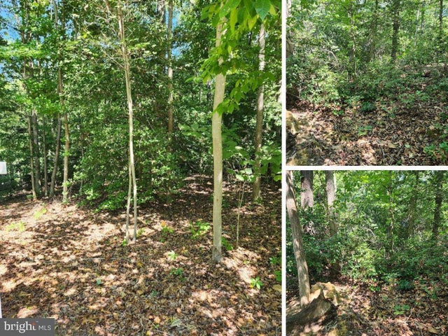 646 White Rock Rd, Lusby