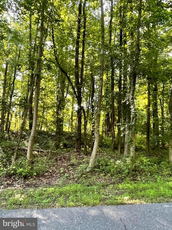 4329 Flora Ave, Prince Frederick