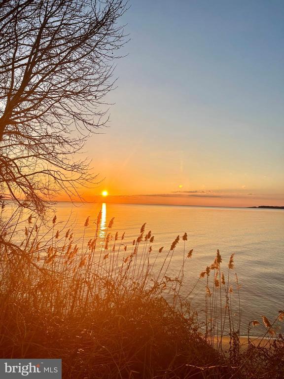 454 Dogwood Dr, Lusby