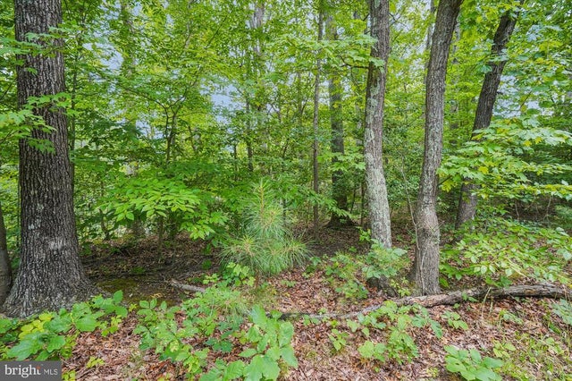 383 Red Cloud Rd, Lusby