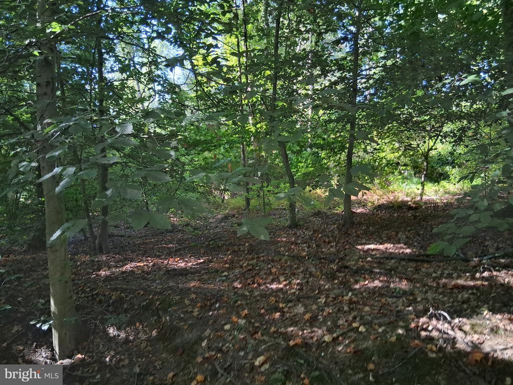 419 Cokesbury Rd, PORT DEPOSIT