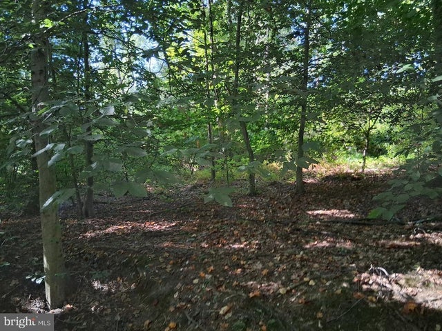 419 Cokesbury Rd, Port Deposit