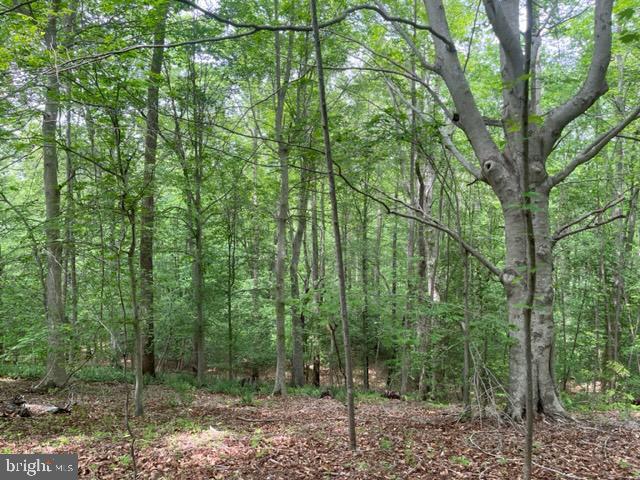 7575 Mason Springs Rd, La Plata