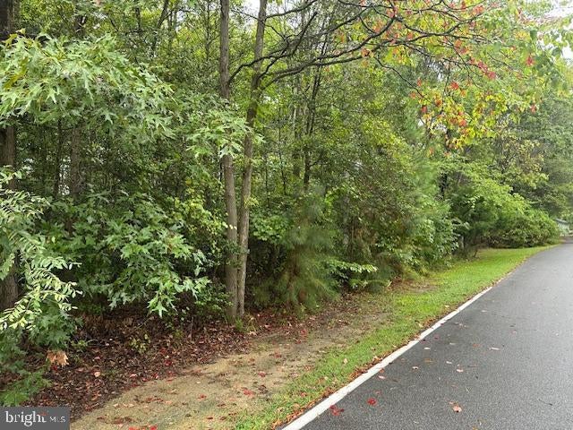 11-b Park Park Ave #lot 11- B, White Plains