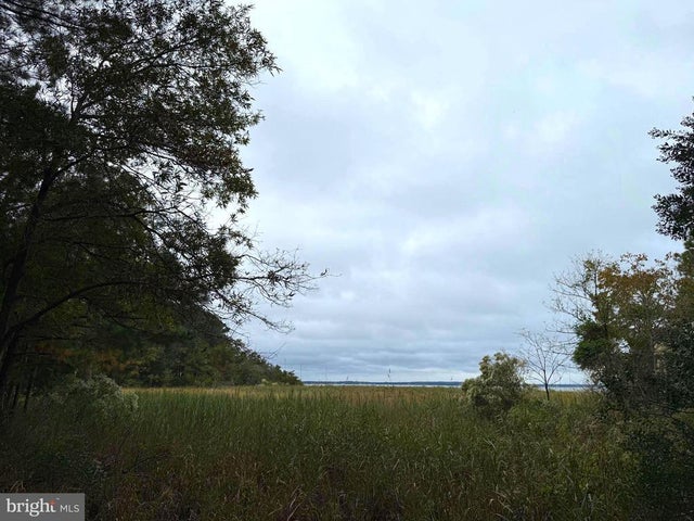 14985 Persimmon Ct, Issue