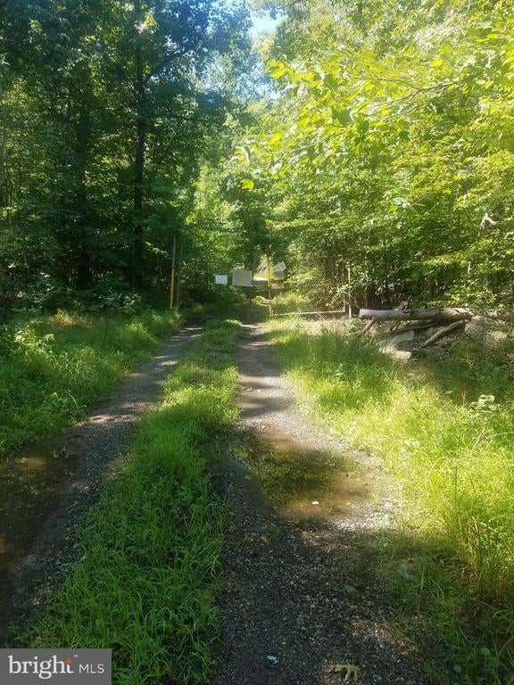 7285 Billingsley Rd, Bryans Road