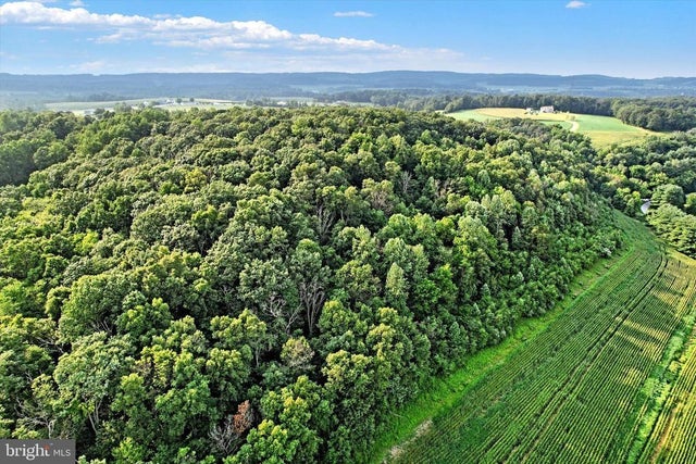 Falls Rd, Manchester