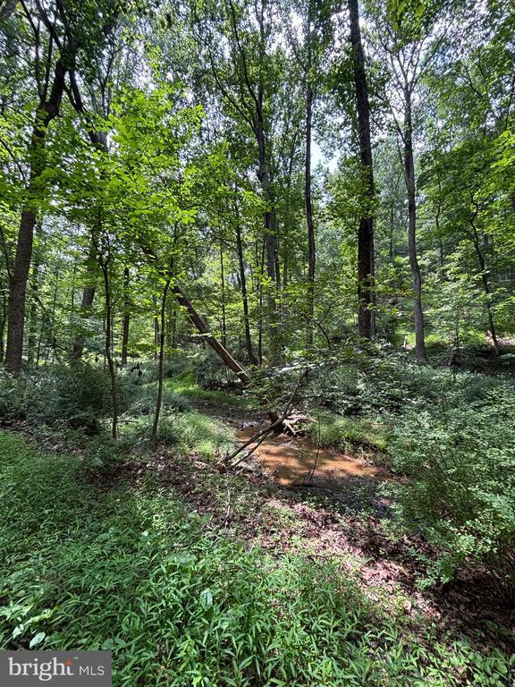 Bear Branch Rd, Westminster