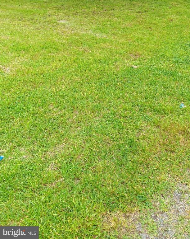 814 Park Ln, Cambridge