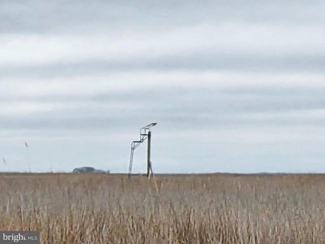 Waterfowl & Sika Deer --s/s Wesley Rd #muskrat Harbor, Crapo