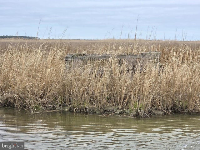 Waterfowl & Sika / Ducks-s/s Wesley Rd #deep Branch, Crapo