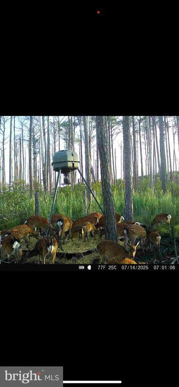 2265 Wingate Bishops Head Rd, Wingate