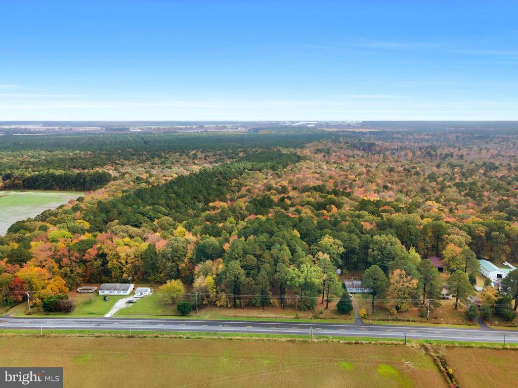 Church Creek Rd, CAMBRIDGE