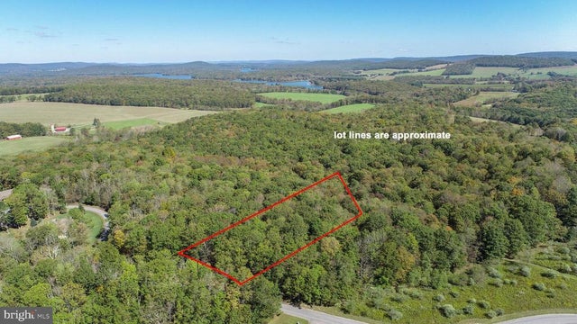 19 Pheasant Run Rd, Oakland