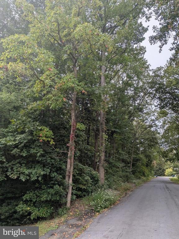 Fox Trl, Havre De Grace