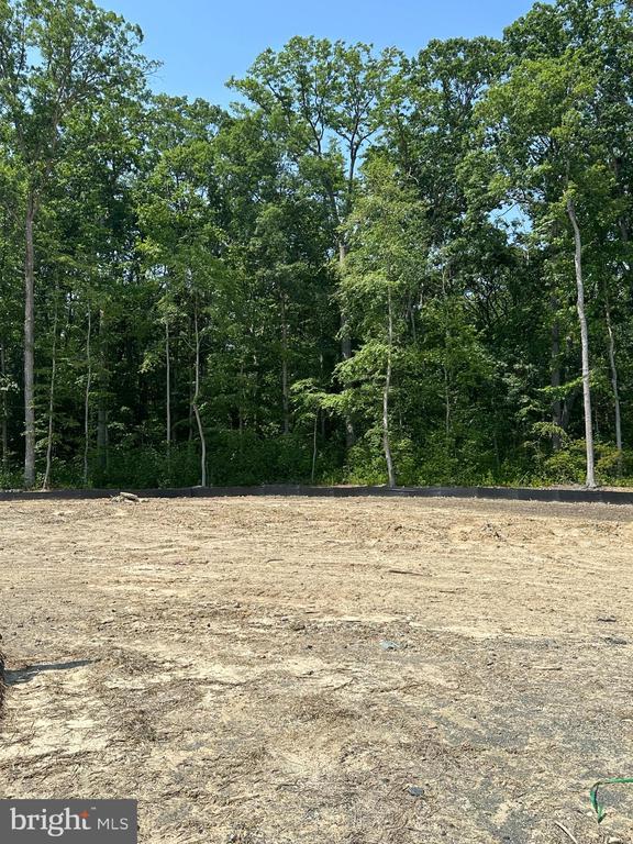 207 Gunmetal Ct, Edgewood