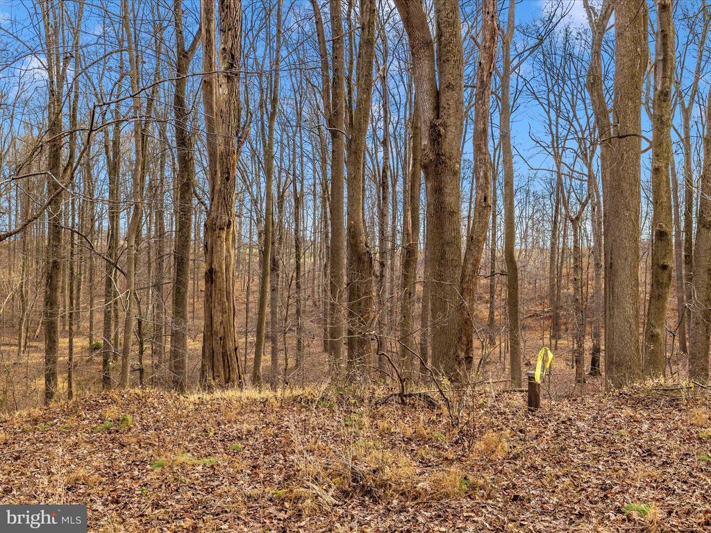 1156 Day Rd, SYKESVILLE MD | SYKESVILLE Lots/Land Homes For Sale