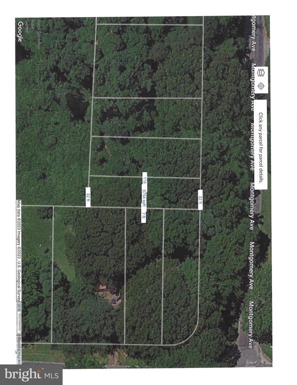 Montgomery Avenue, Chestertown