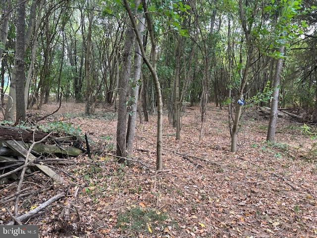 30205 Morgnec Rd, Millington