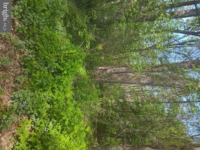 Georgetown Rd Se, Chestertown