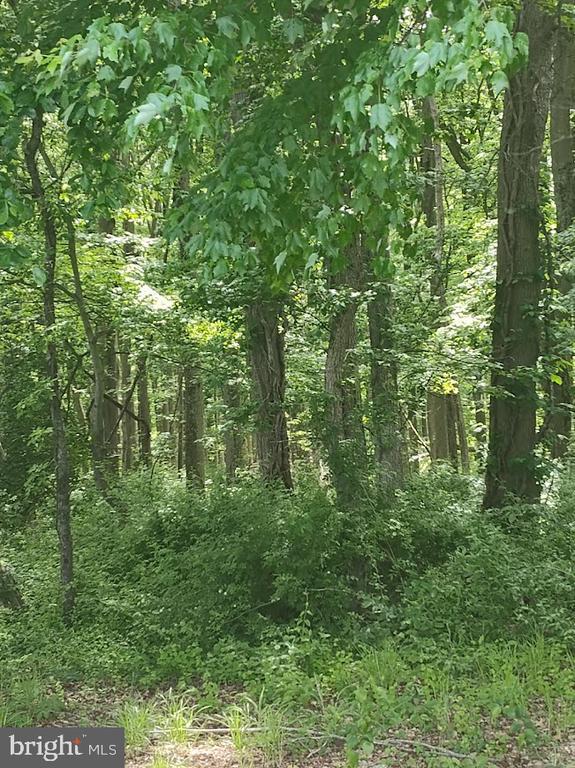 Caulks Field Road, Chestertown