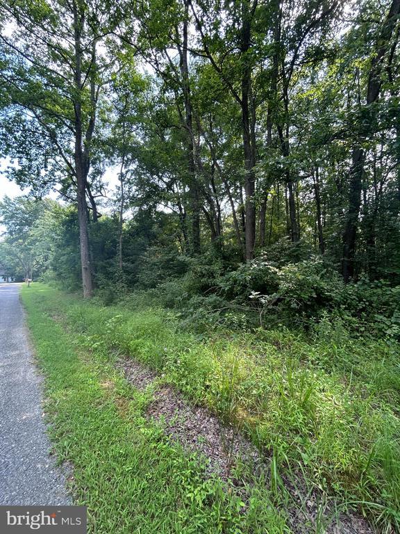Chesterville Forest Rd #parcel 60, Millington