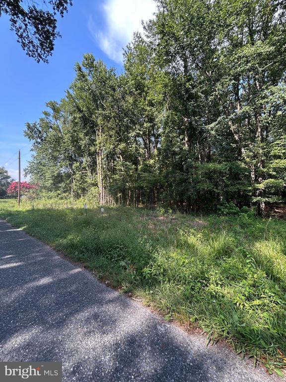 Chesterville Forest Rd #parcel 84a, Millington