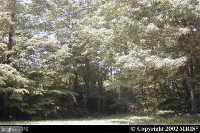 Tonopah Rd., Chestertown