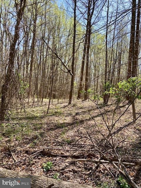 19230 Chandlee Mill Rd, Sandy Spring