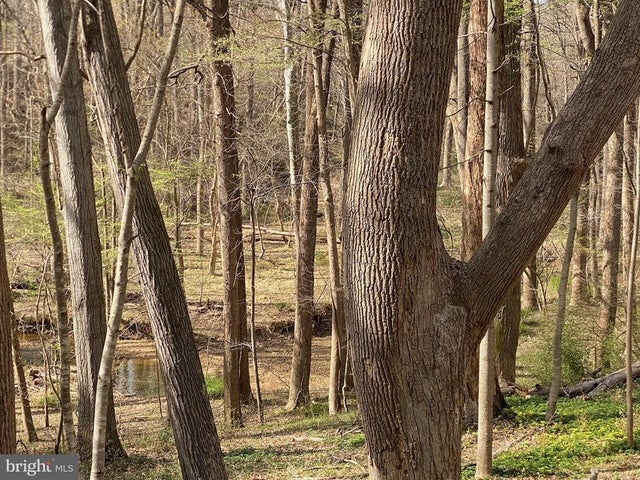 11800 Glen Mill Rd, Potomac