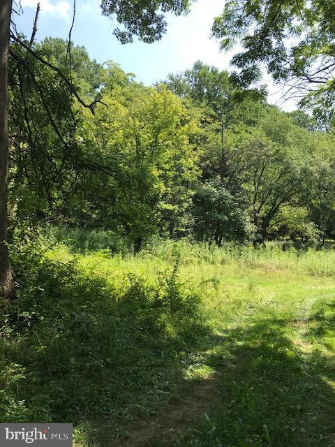 13165 Violettes Lock Rd, Germantown