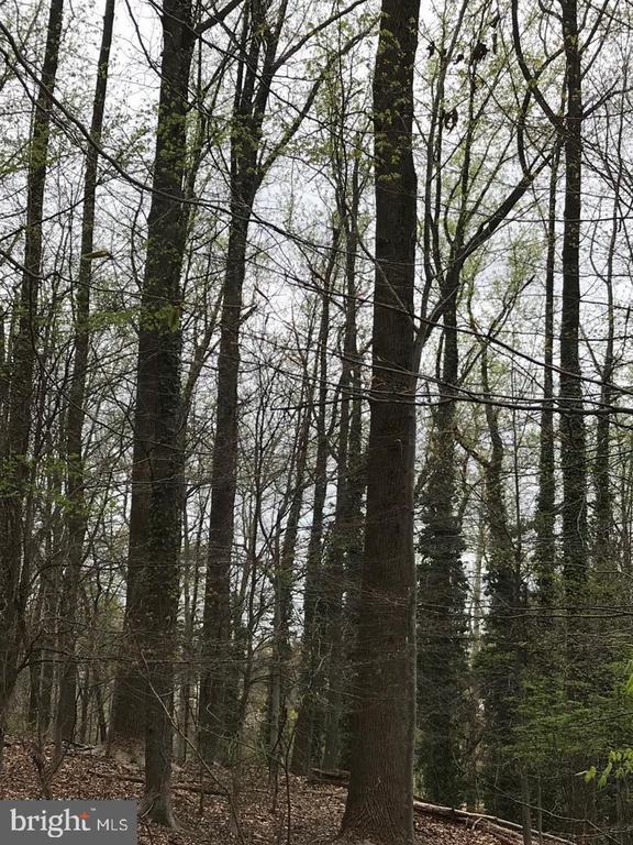 Livingston Rd, OXON HILL MD OXON HILL Lots/Land Homes For Sale