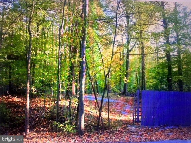 8013 Poplar Hill Dr, Clinton