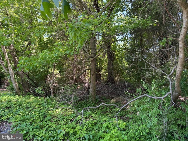 0 Ackerman Dr, Stevensville