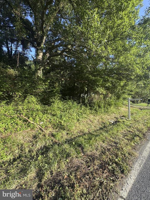 1709 Batts Neck Rd, Stevensville