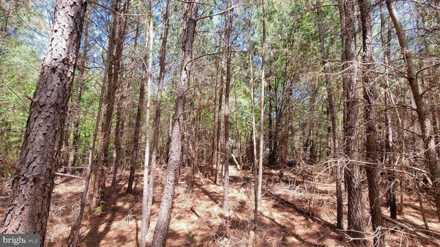 48560 Evergreen Park Rd, Lexington Park