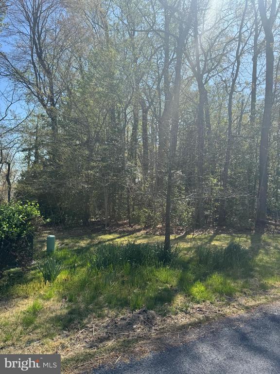 Holly Ln, Mechanicsville