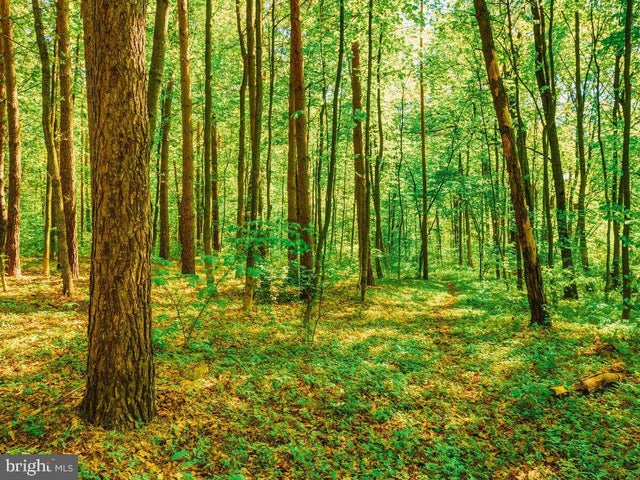 North Lake Dr, Mechanicsville