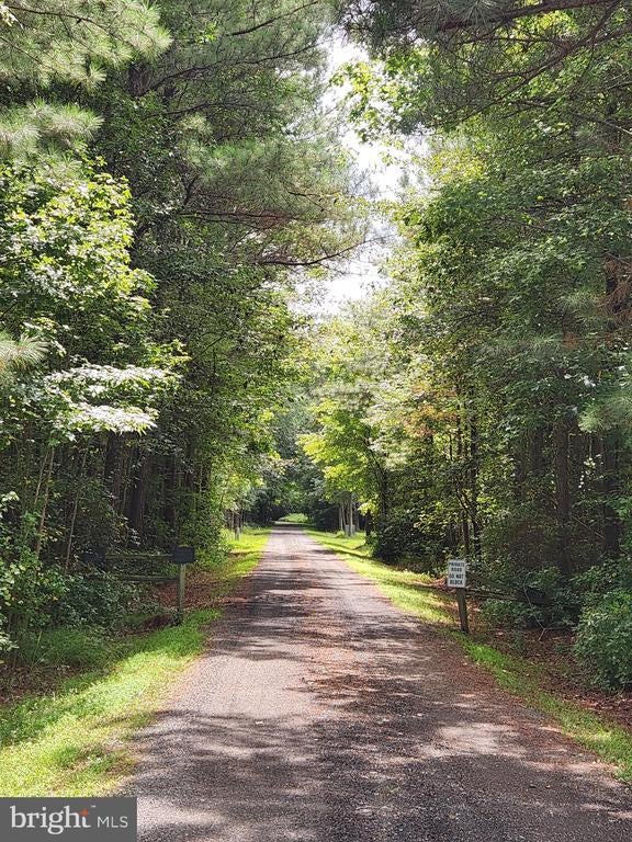 38335 Collins Rd, Avenue