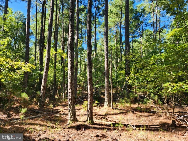 Fresh Pond Neck Rd, Ridge