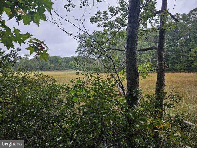 Lot 8 Section C Spring Lake Dr Dr, Lexington Park