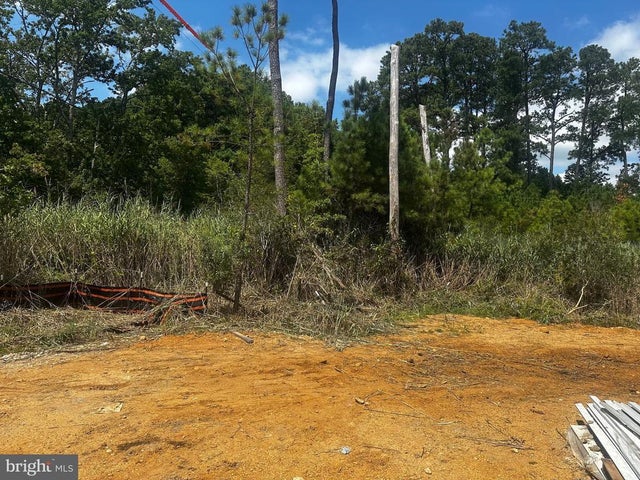 16252 Thomas Rd, Piney Point