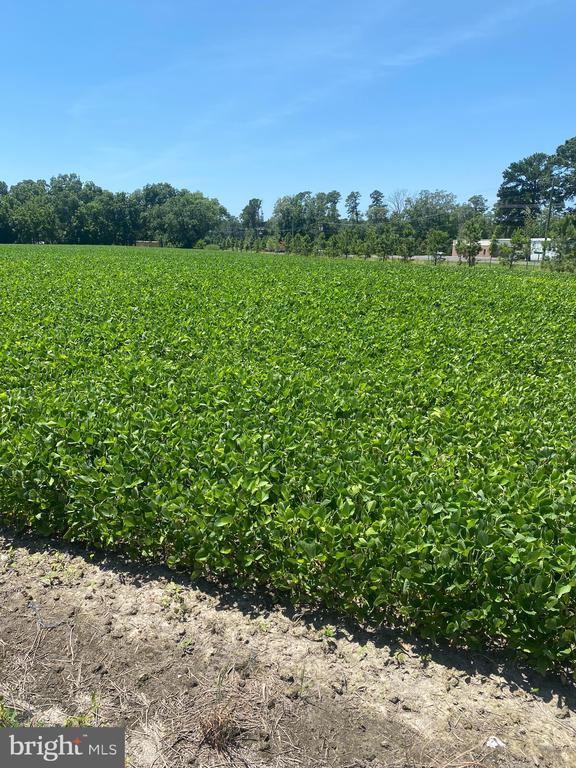 0 Lawson Barnes Rd, Crisfield