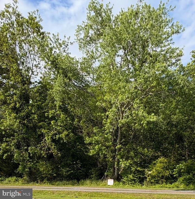 0 Davis Rd, Marion Station