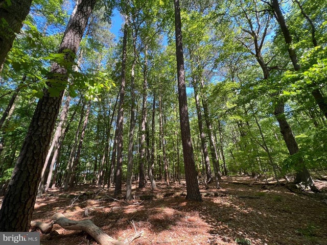 Parcel 40 Revells Neck Rd, Westover